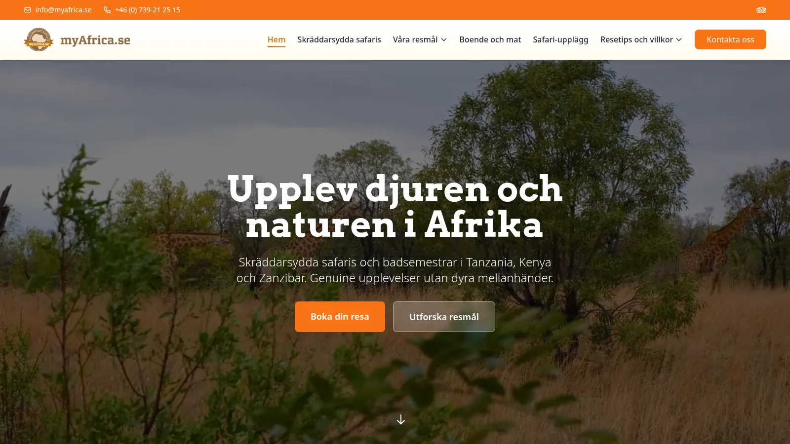My Africa
